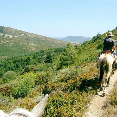 & - Git'ostal Carcassonne